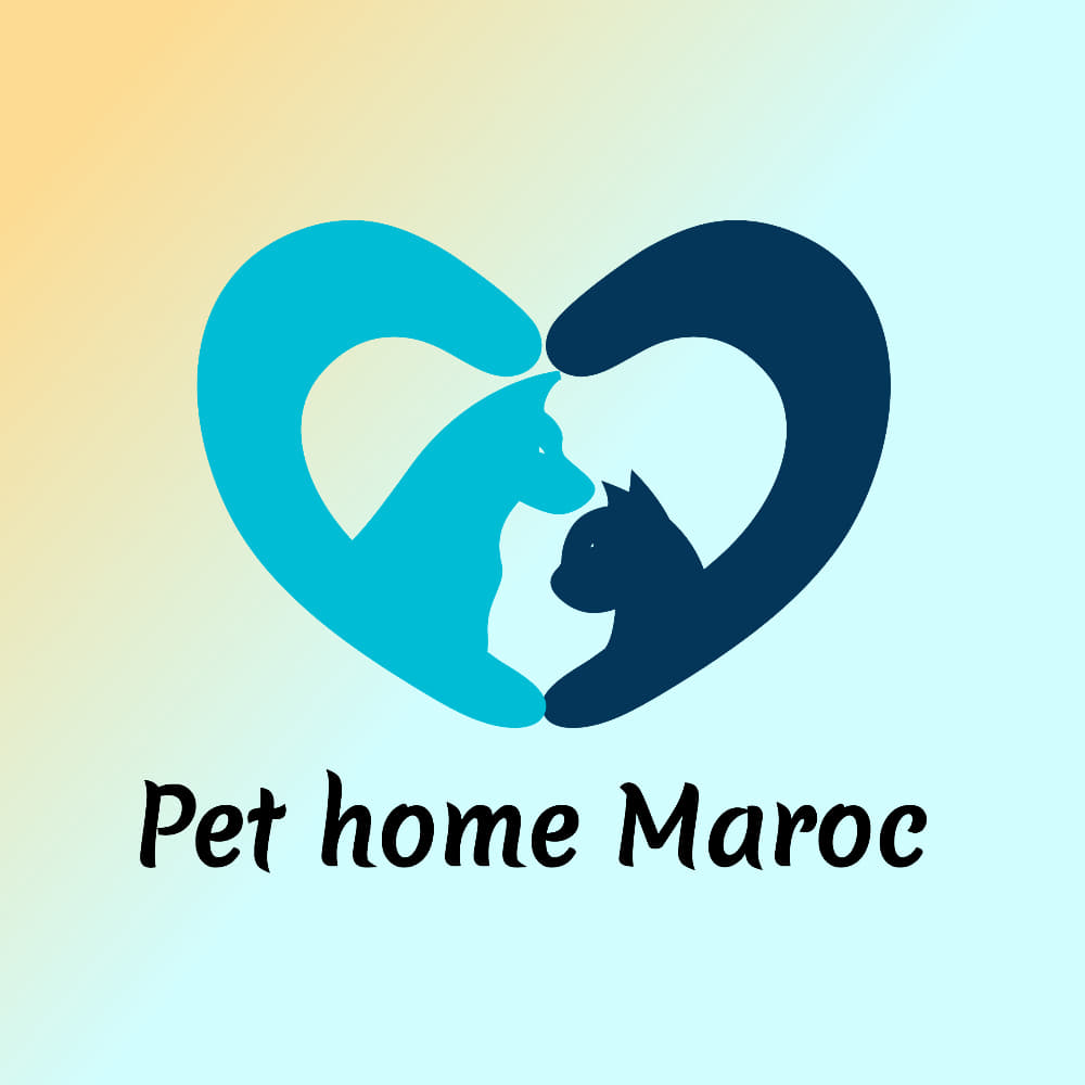 Pets Home Maroc Biberon Pour Chat Et Chien