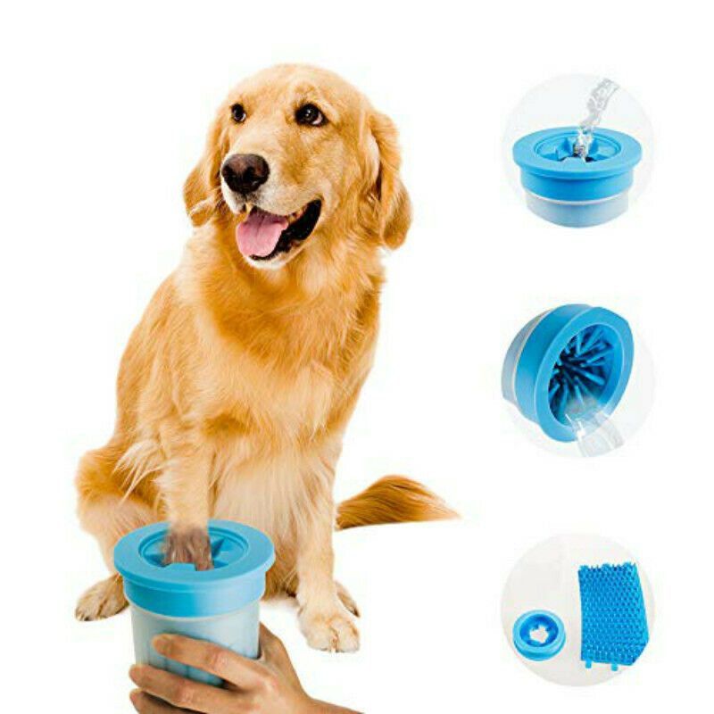 Un nettoyeur de pattes - Accessoires d'été pour vos chiens et chats -  L'Internaute Nature