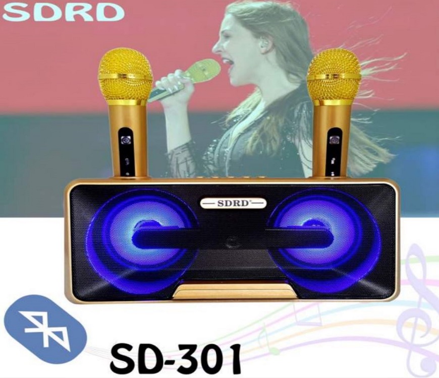 Microphone speaker SD-301 sans fil Bluetooth double microphone
