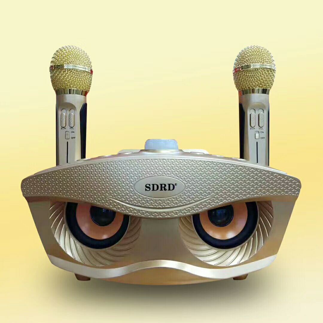 karaoké sans fil Super haut-parleur  SD 306